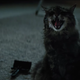 Illustration for article titled Stephen King still isn't a fan of Pet Sematary, but he digs the remake